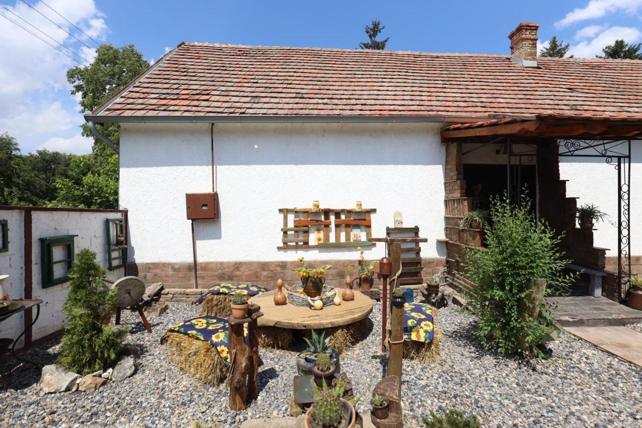 Bed and Breakfast Etno Kuca Teodora à Stajicevo Extérieur photo