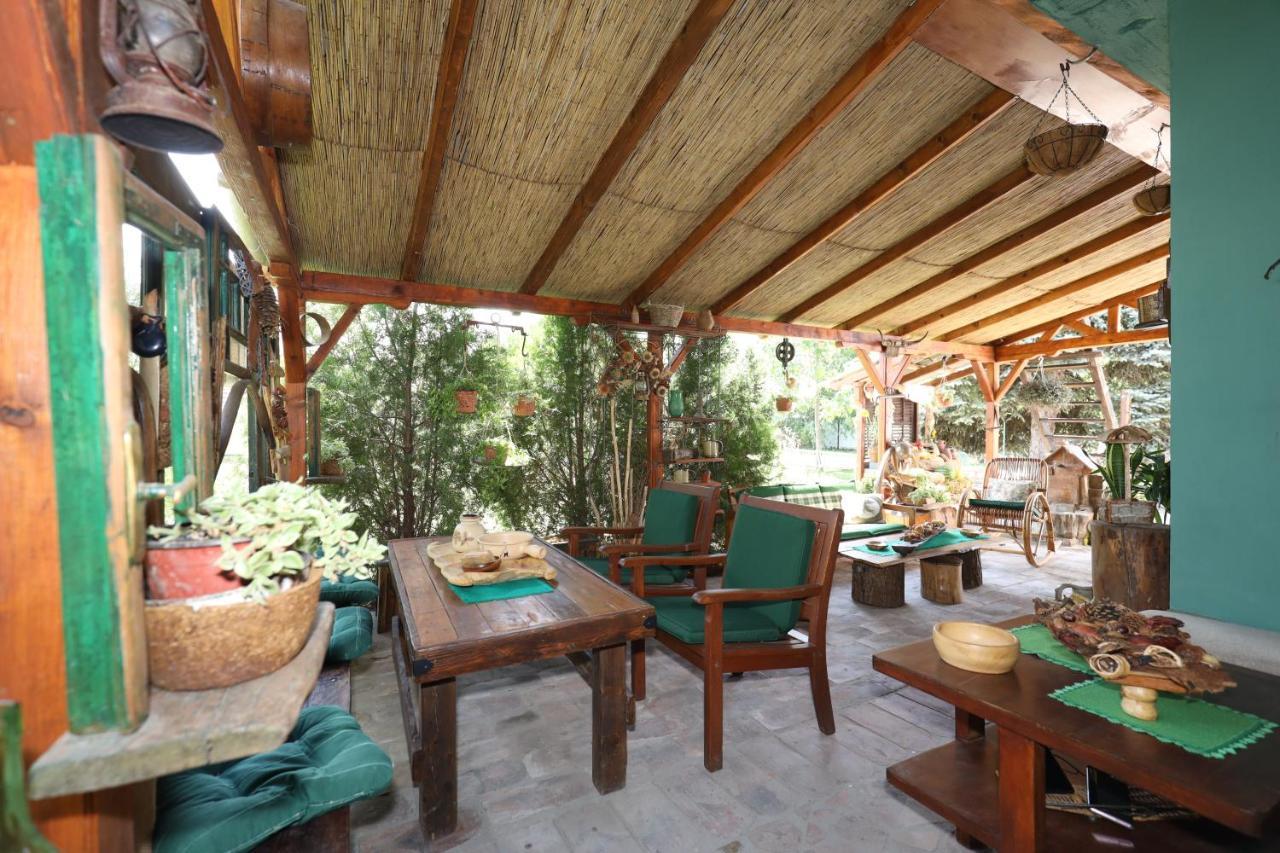 Bed and Breakfast Etno Kuca Teodora à Stajicevo Extérieur photo