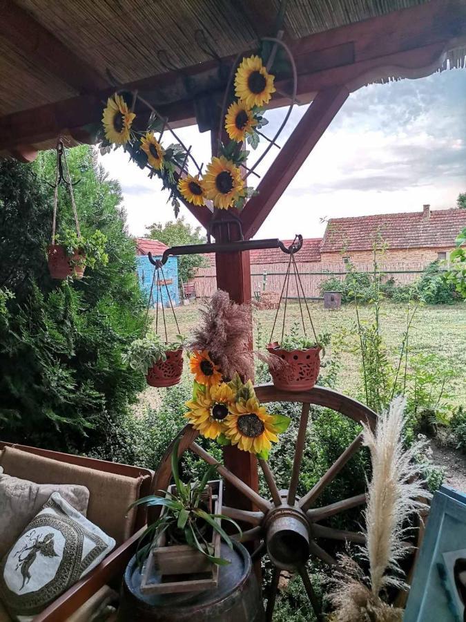 Bed and Breakfast Etno Kuca Teodora à Stajicevo Extérieur photo
